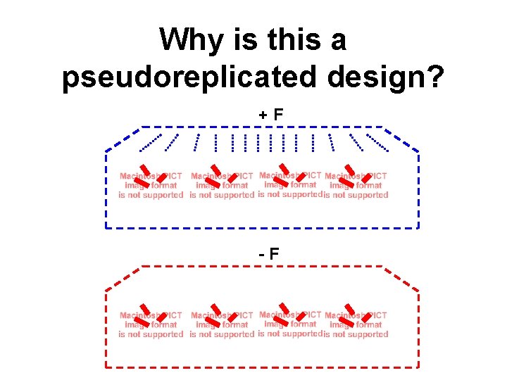Why is this a pseudoreplicated design? +F -F 