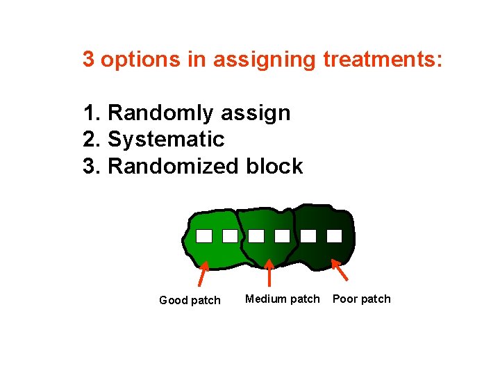 3 options in assigning treatments: 1. Randomly assign 2. Systematic 3. Randomized block Good