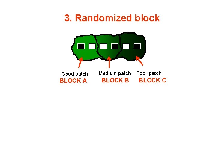 3. Randomized block Good patch BLOCK A Medium patch BLOCK B Poor patch BLOCK
