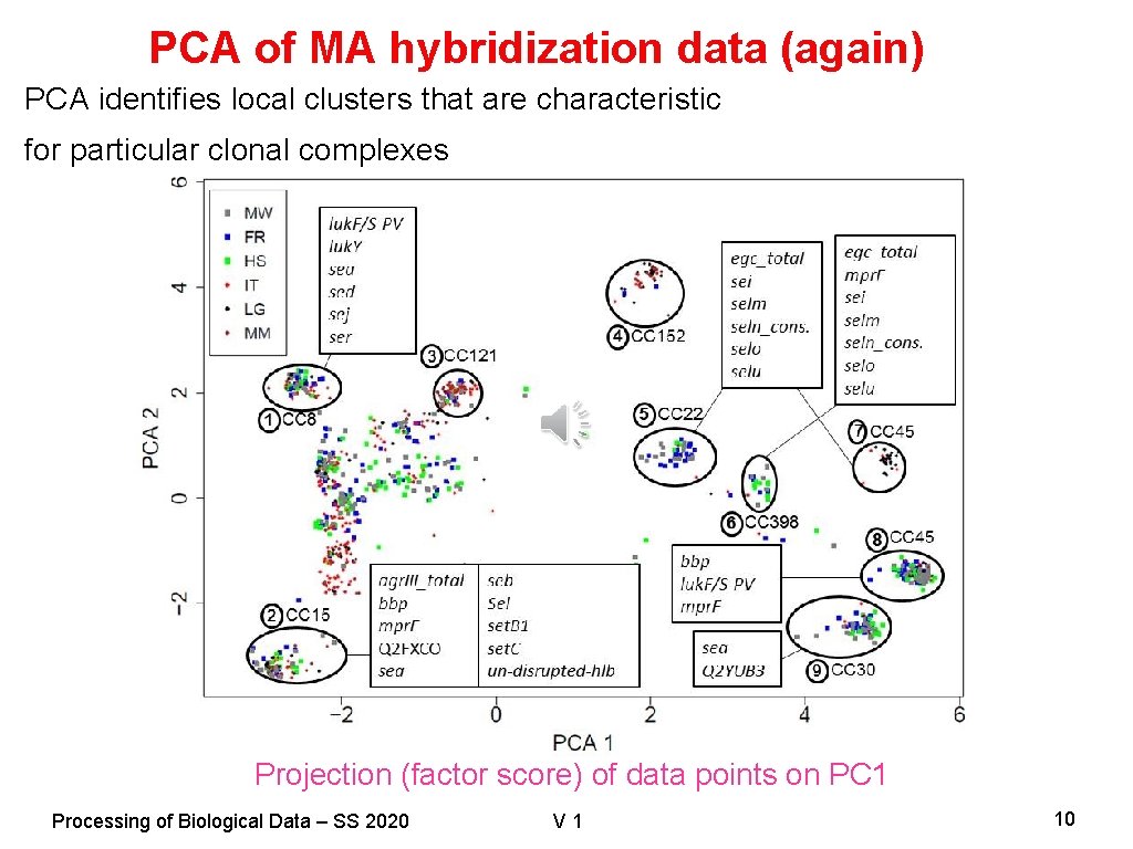 PCA of MA hybridization data (again) PCA identifies local clusters that are characteristic for