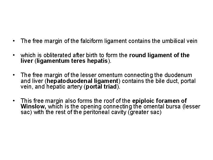  • The free margin of the falciform ligament contains the umbilical vein •