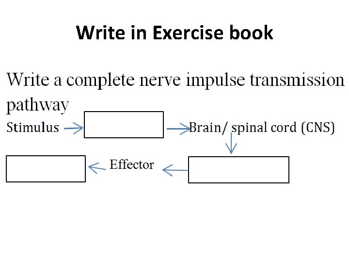 Write in Exercise book 