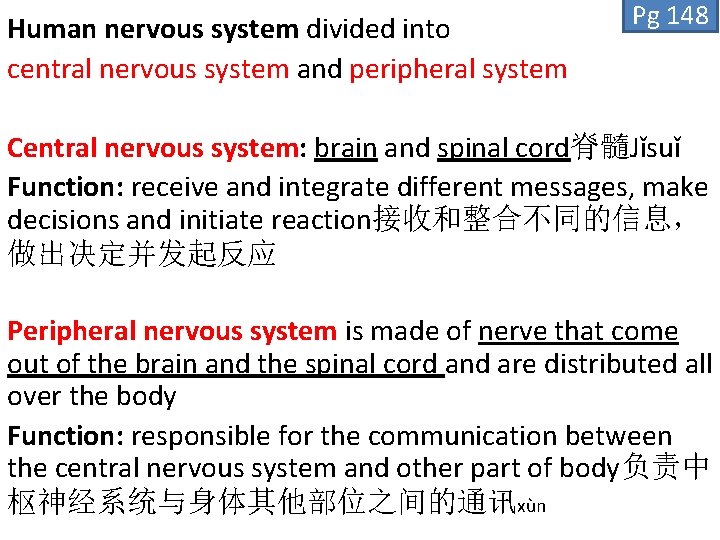 Human nervous system divided into central nervous system and peripheral system Pg 148 Central