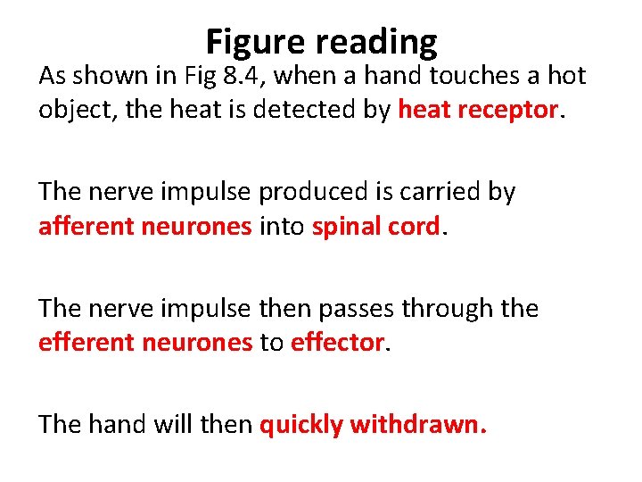 Figure reading As shown in Fig 8. 4, when a hand touches a hot