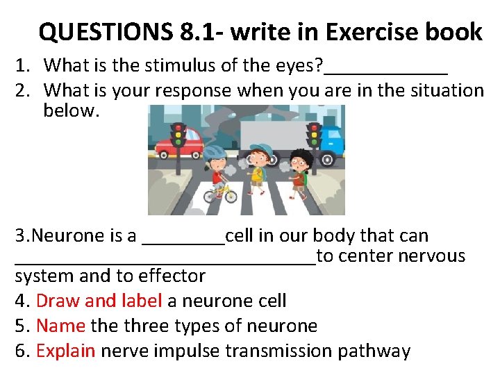QUESTIONS 8. 1 - write in Exercise book 1. What is the stimulus of