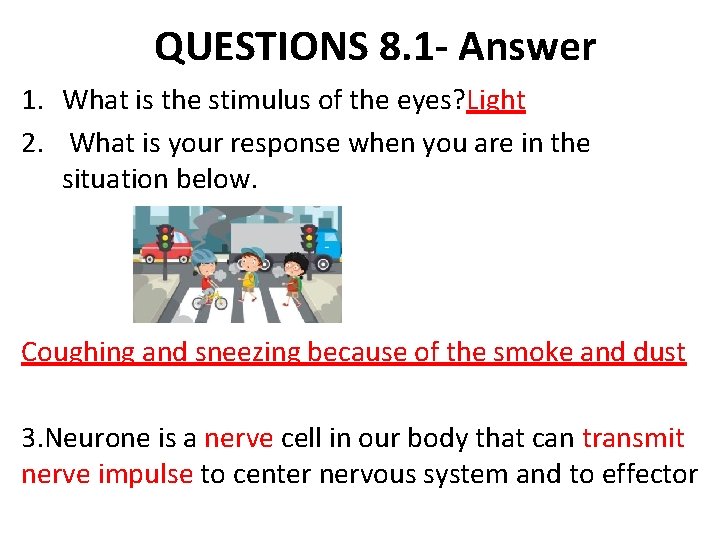 QUESTIONS 8. 1 - Answer 1. What is the stimulus of the eyes? Light