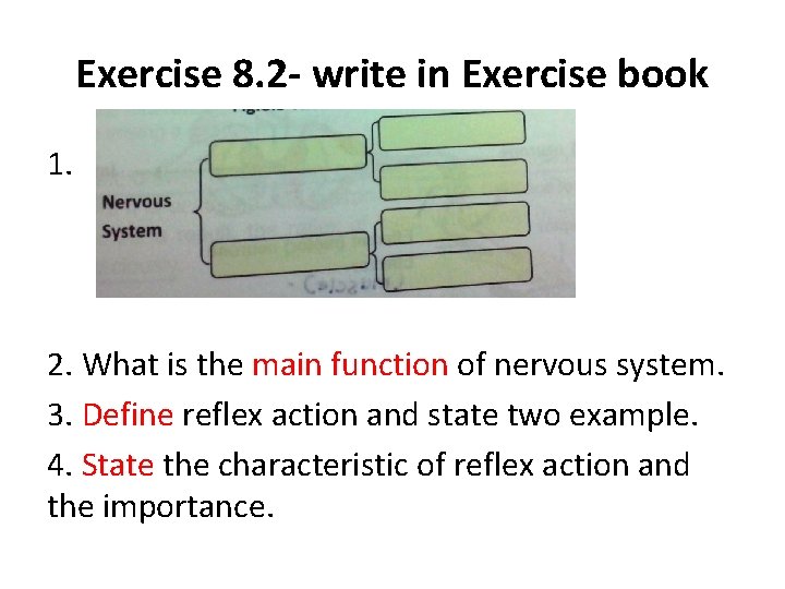 Exercise 8. 2 - write in Exercise book 1. 2. What is the main