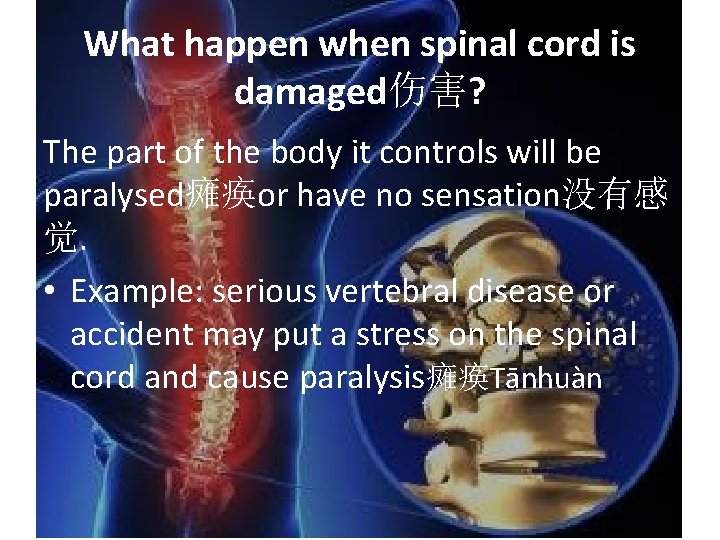 What happen when spinal cord is damaged伤害? The part of the body it controls