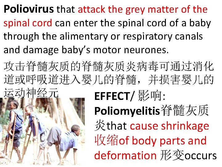 Poliovirus that attack the grey matter of the spinal cord can enter the spinal
