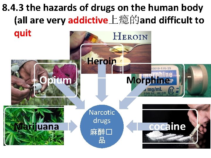 8. 4. 3 the hazards of drugs on the human body (all are very