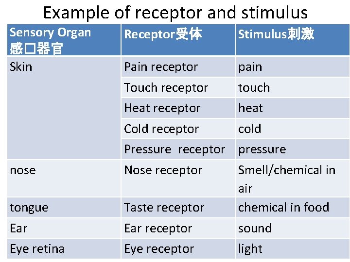 Example of receptor and stimulus Sensory Organ 感�器官 Skin Receptor受体 Stimulus刺激 Pain receptor pain
