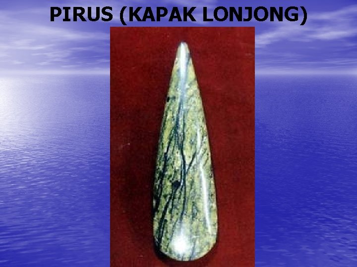 PIRUS (KAPAK LONJONG) 