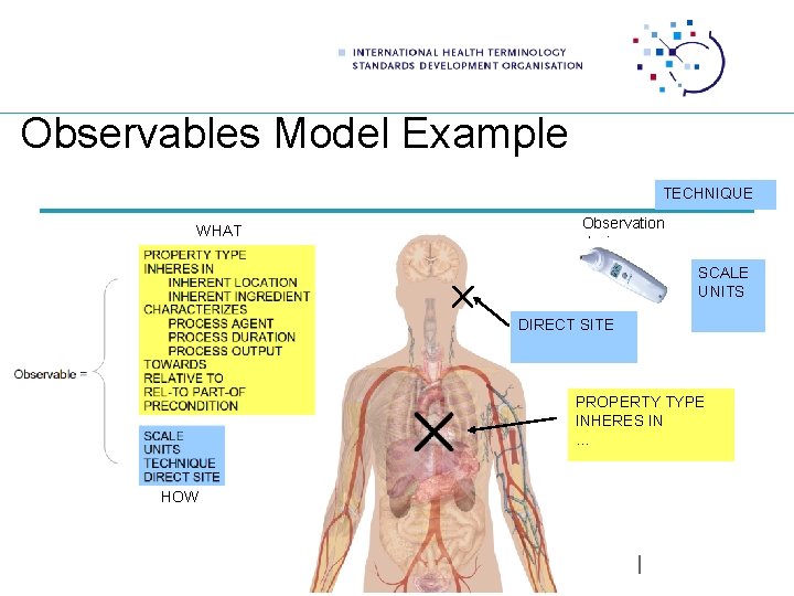 Observables Model Example TECHNIQUE WHAT Observation device SCALE UNITS DIRECT SITE PROPERTY TYPE INHERES