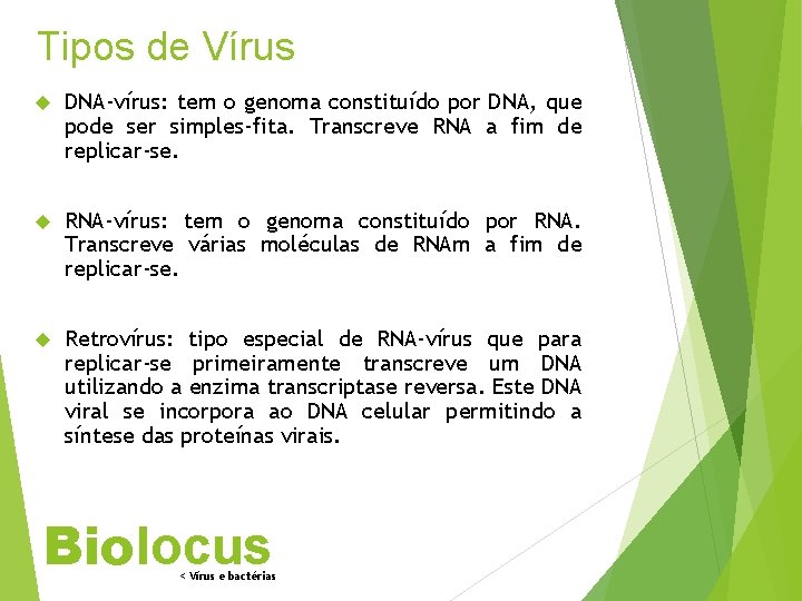 Tipos de Vírus DNA-vírus: tem o genoma constituído por DNA, que pode ser simples-fita.