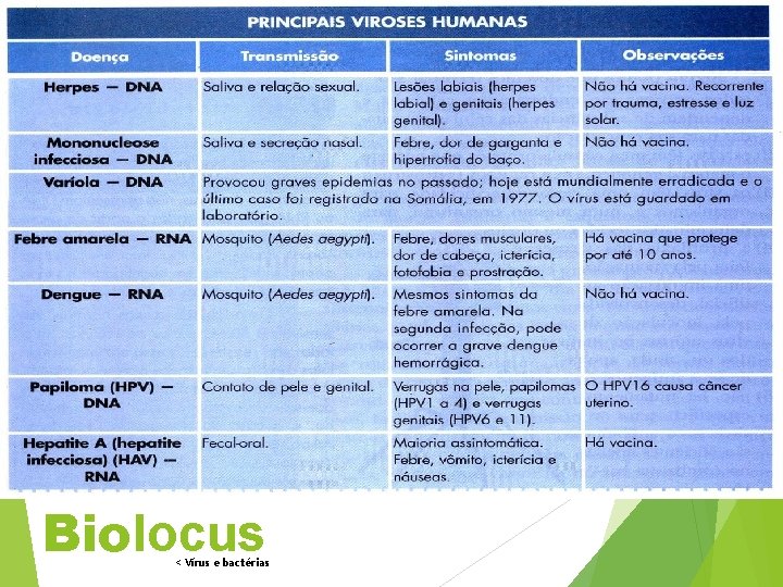 Biolocus < Vírus e bactérias 