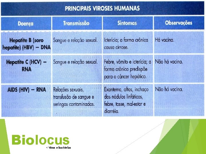 Biolocus < Vírus e bactérias 