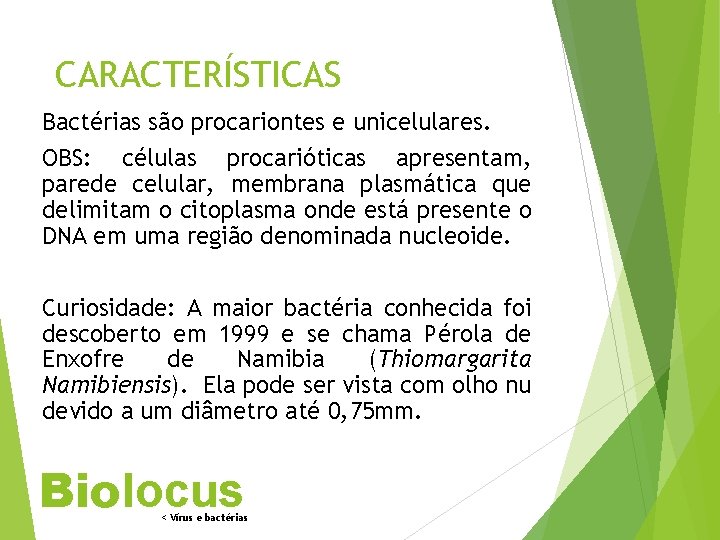 CARACTERÍSTICAS Bactérias são procariontes e unicelulares. OBS: células procarióticas apresentam, parede celular, membrana plasmática