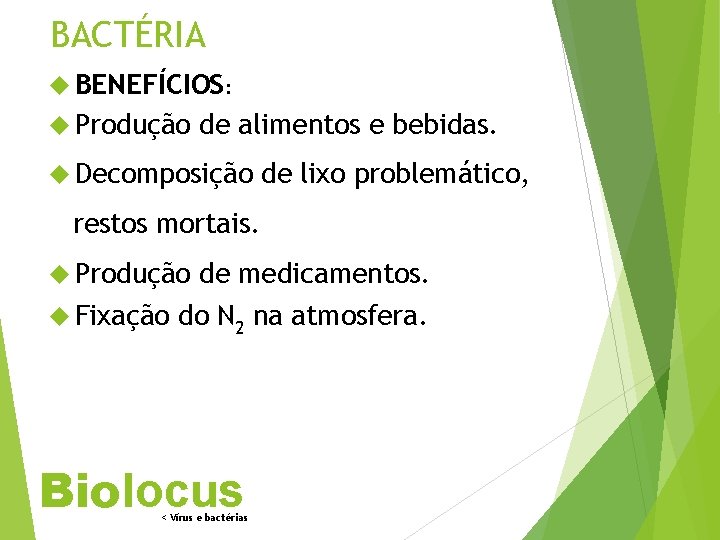 BACTÉRIA BENEFÍCIOS: Produção de alimentos e bebidas. Decomposição de lixo problemático, restos mortais. Produção