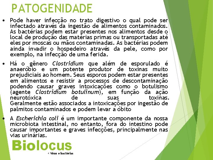 PATOGENIDADE • Pode haver infecção no trato digestivo o qual pode ser infectado através