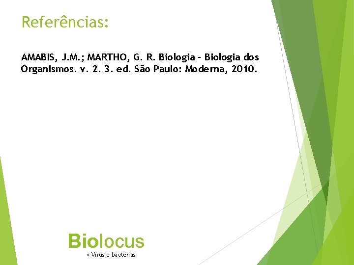 Referências: AMABIS, J. M. ; MARTHO, G. R. Biologia - Biologia dos Organismos. v.