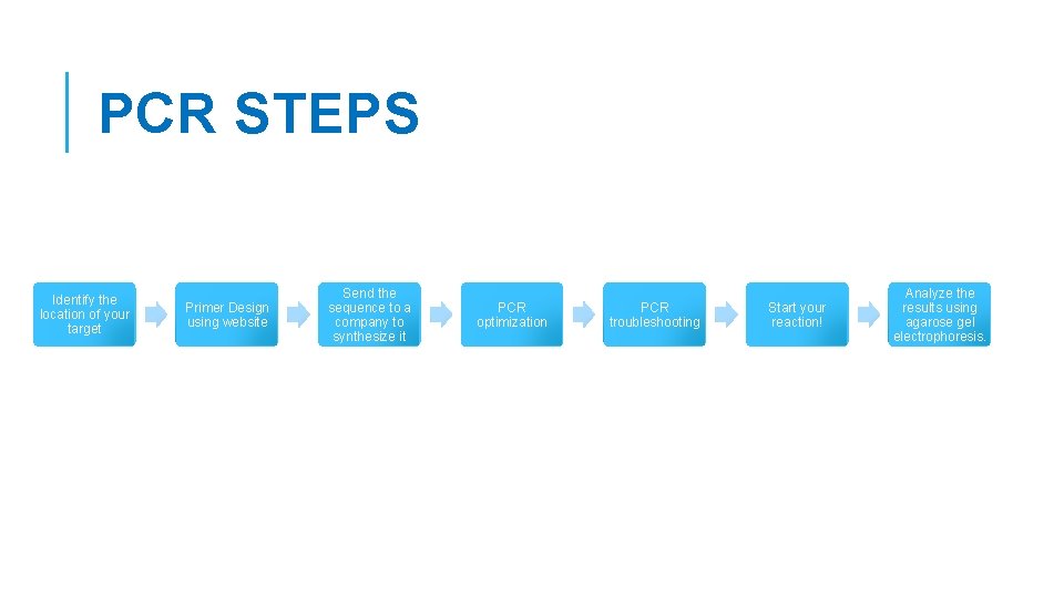 PCR STEPS Identify the location of your target Primer Design using website Send the