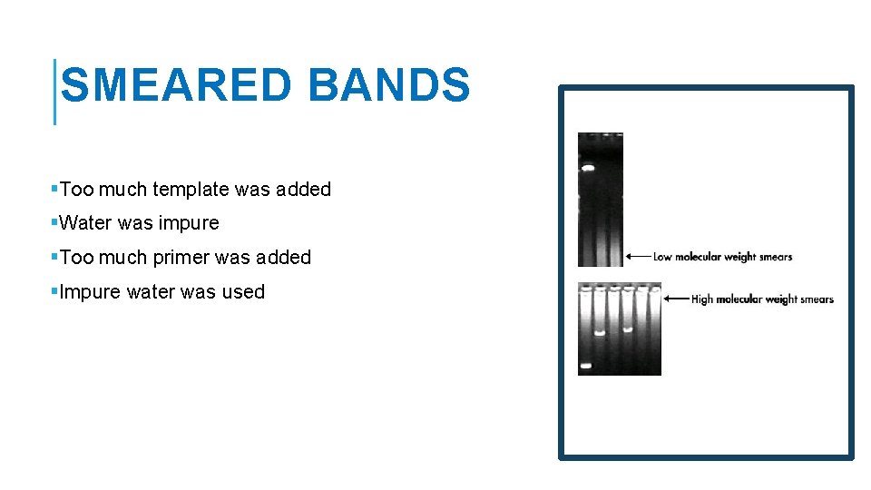 SMEARED BANDS §Too much template was added §Water was impure §Too much primer was