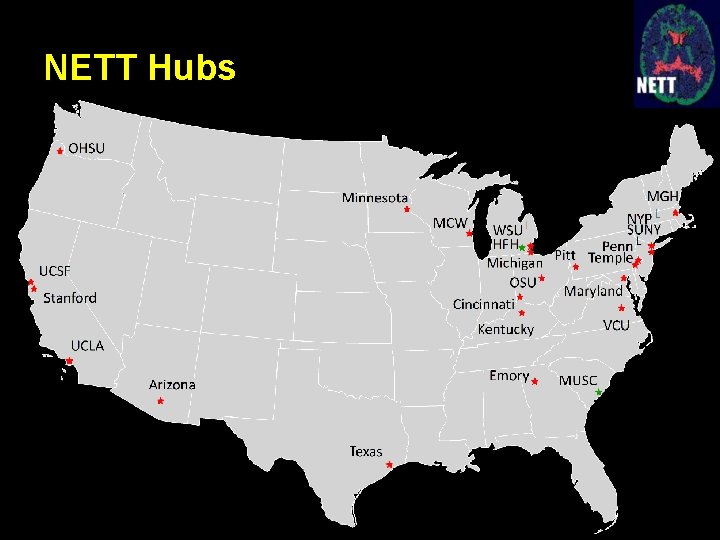 NETT Hubs 