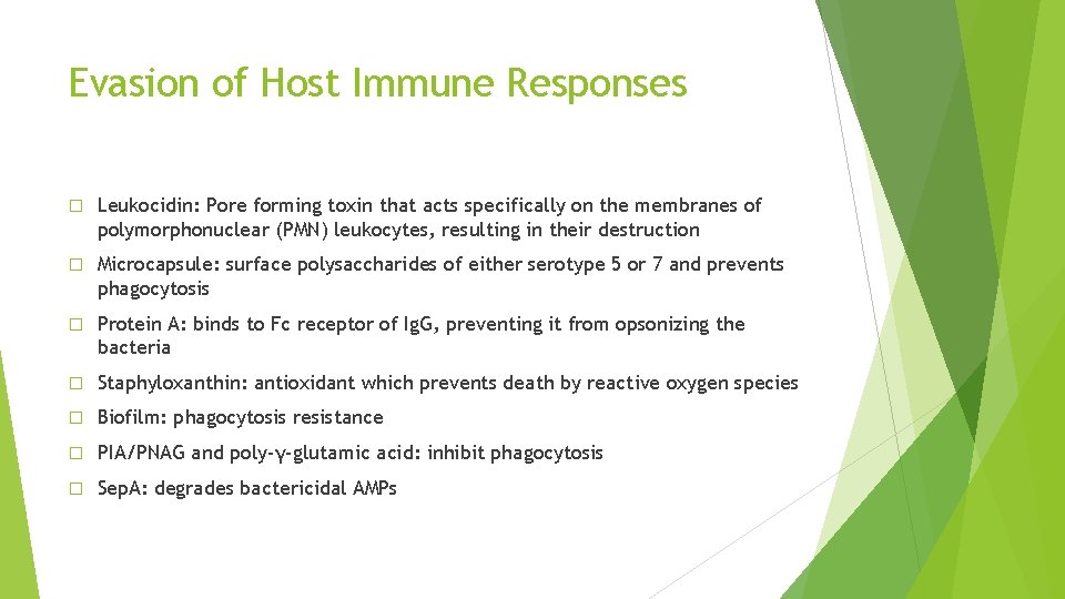 Evasion of Host Immune Responses � Leukocidin: Pore forming toxin that acts specifically on