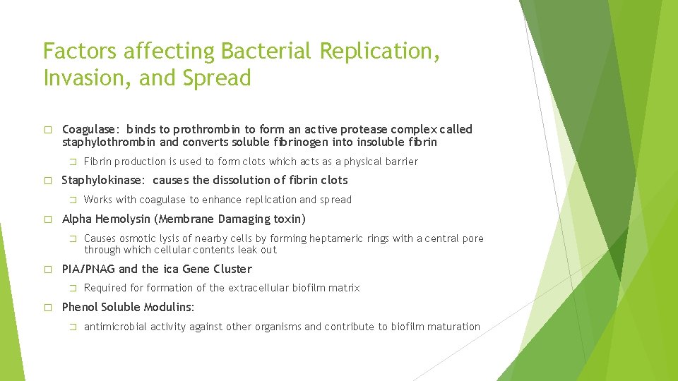 Factors affecting Bacterial Replication, Invasion, and Spread � Coagulase: binds to prothrombin to form