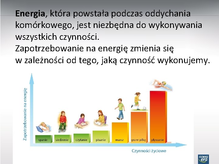 Energia, która powstała podczas oddychania komórkowego, jest niezbędna do wykonywania wszystkich czynności. Zapotrzebowanie na