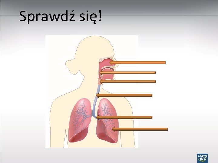 Sprawdź się! 