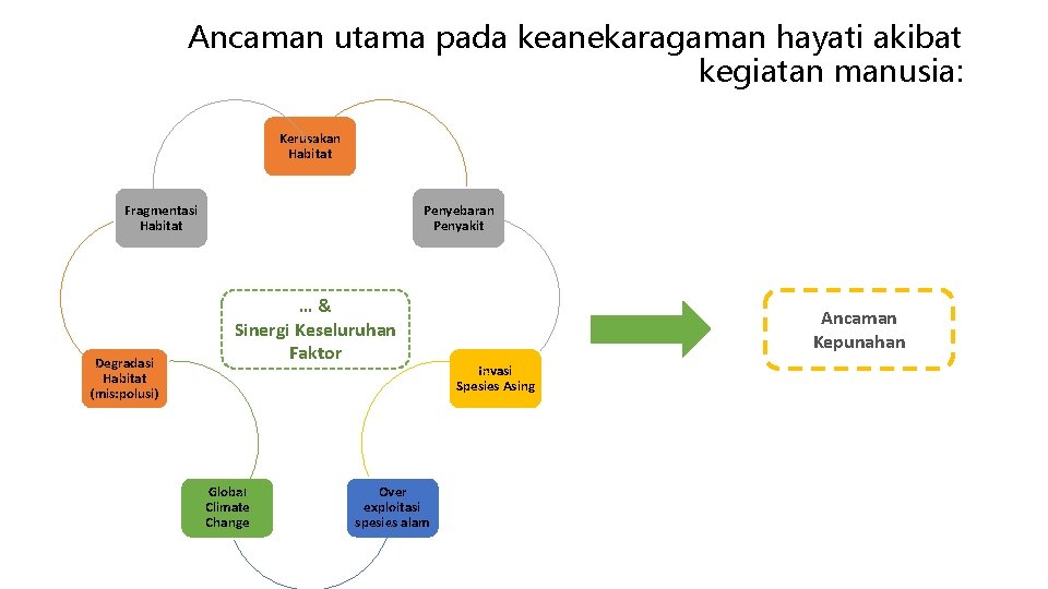 Ancaman utama pada keanekaragaman hayati akibat kegiatan manusia: Kerusakan Habitat Fragmentasi Habitat Degradasi Habitat