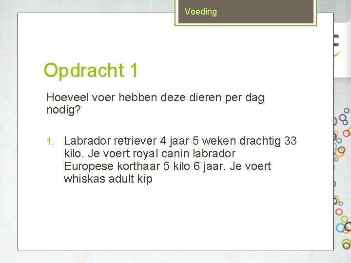 Voeding Opdracht 1 Hoeveel voer hebben deze dieren per dag nodig? 1. Labrador retriever