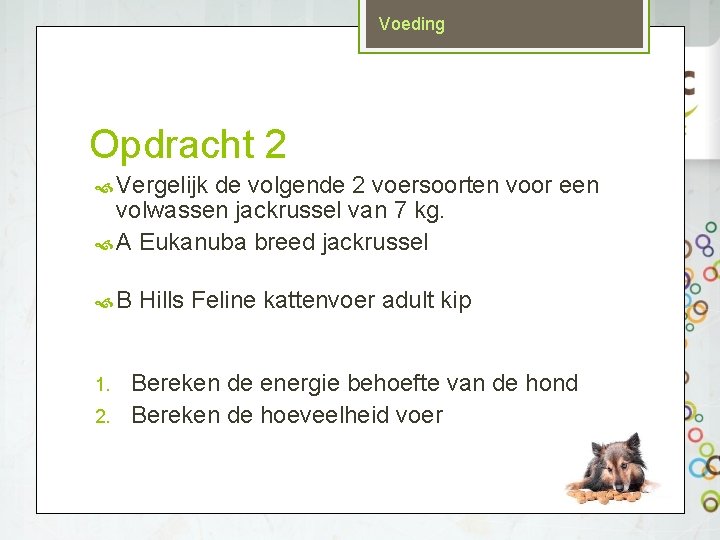 Voeding Opdracht 2 Vergelijk de volgende 2 voersoorten voor een volwassen jackrussel van 7