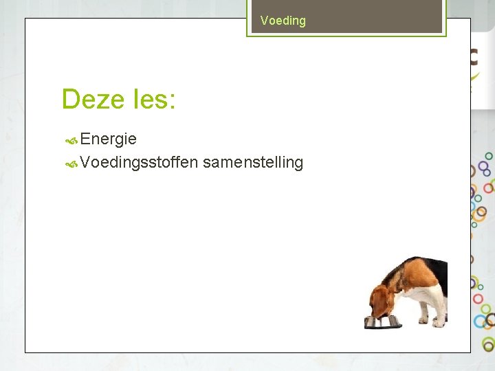 Voeding Deze les: Energie Voedingsstoffen samenstelling 