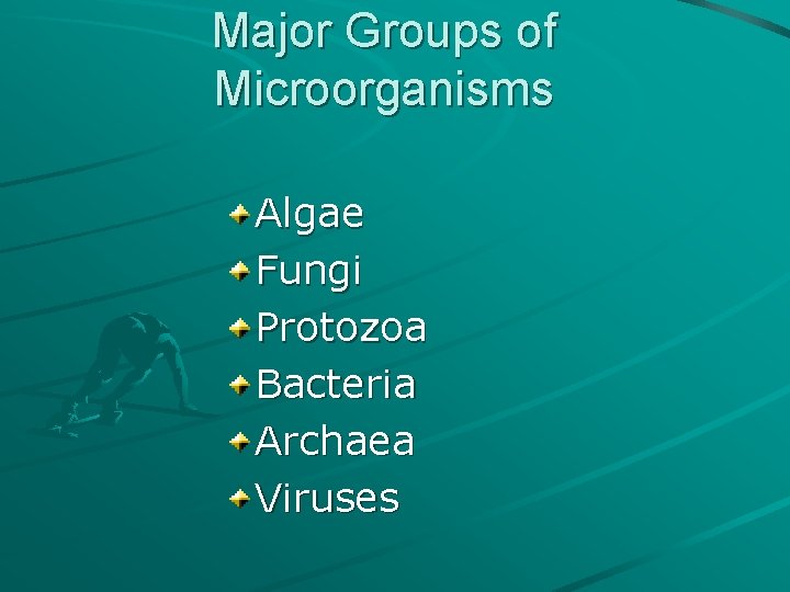 Major Groups of Microorganisms Algae Fungi Protozoa Bacteria Archaea Viruses 