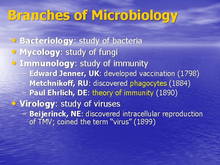 Branches of Microbiology • Bacteriology: study of bacteria • Mycology: study of fungi •