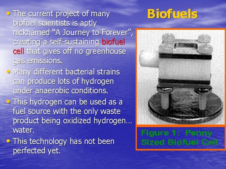  • The current project of many biofuel scientists is aptly nicknamed “A Journey