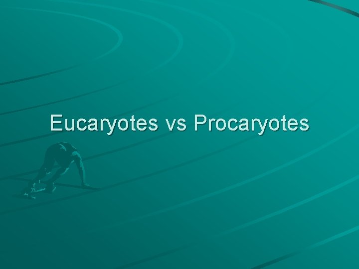 Eucaryotes vs Procaryotes 