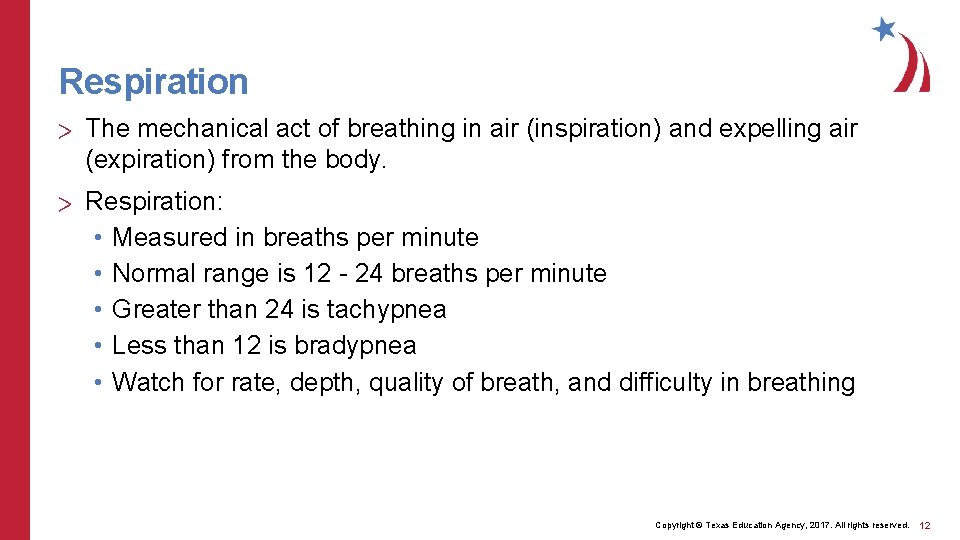 Respiration > The mechanical act of breathing in air (inspiration) and expelling air (expiration)