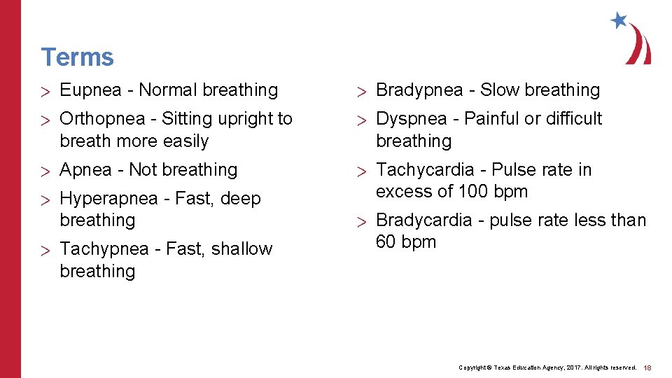Terms > Eupnea - Normal breathing > Bradypnea - Slow breathing > Orthopnea -