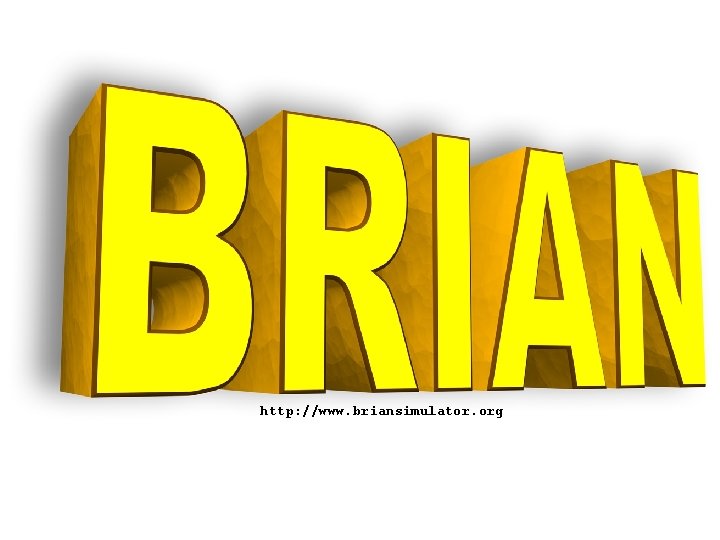 http: //www. briansimulator. org 