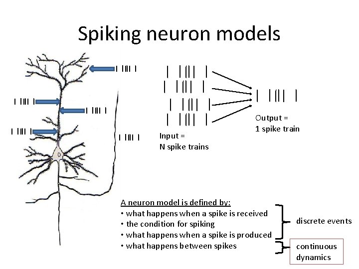 Spiking neuron models Input = N spike trains Output = 1 spike train A