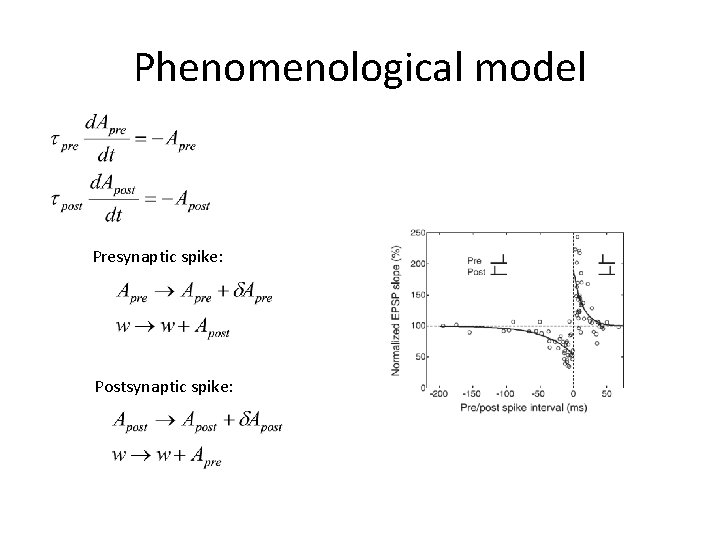 Phenomenological model Presynaptic spike: Postsynaptic spike: 