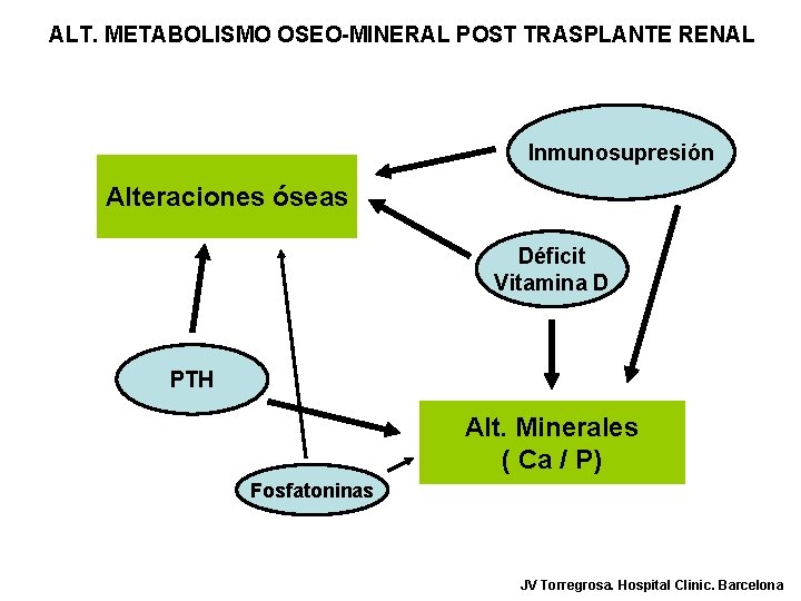 ALT. METABOLISMO OSEO-MINERAL POST TRASPLANTE RENAL Inmunosupresión Alteraciones óseas Déficit Vitamina D PTH Alt.