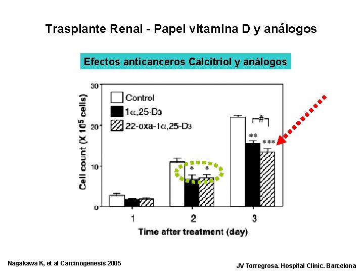 Trasplante Renal - Papel vitamina D y análogos Efectos anticanceros Calcitriol y análogos Nagakawa
