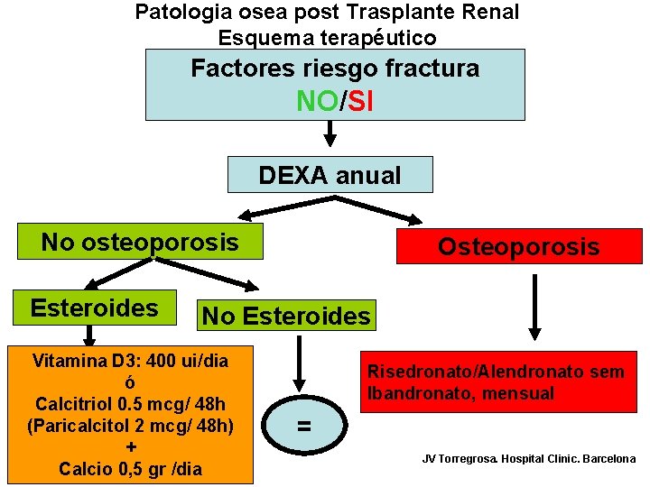 Patologia osea post Trasplante Renal Esquema terapéutico Factores riesgo fractura NO/SI DEXA anual No