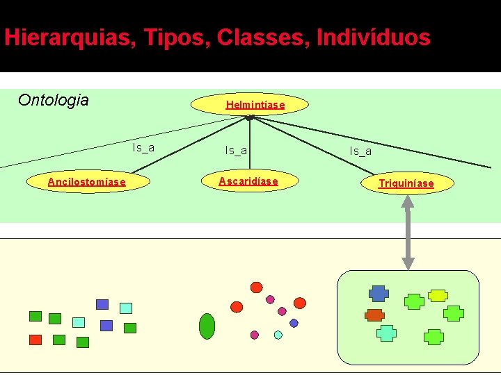 Hierarquias, Tipos, Classes, Indivíduos Ontologia Helmintíase Is_a Ancilostomíase Is_a Ascaridíase Is_a Triquiníase 