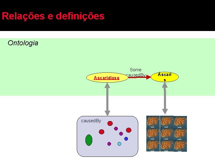 Relações e definições Ontologia Ascaridíase caused. By Some caused. By Áscari s 