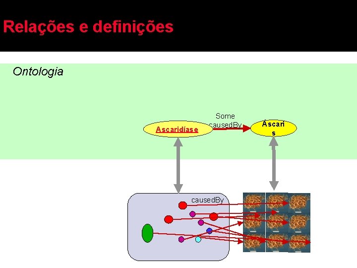 Relações e definições Ontologia Ascaridíase Some caused. By Áscari s 